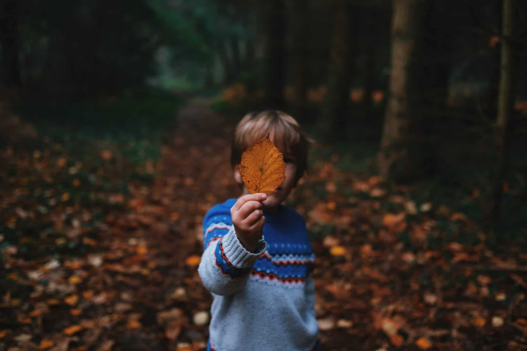 Child hold a leaf. How to heal your inner child